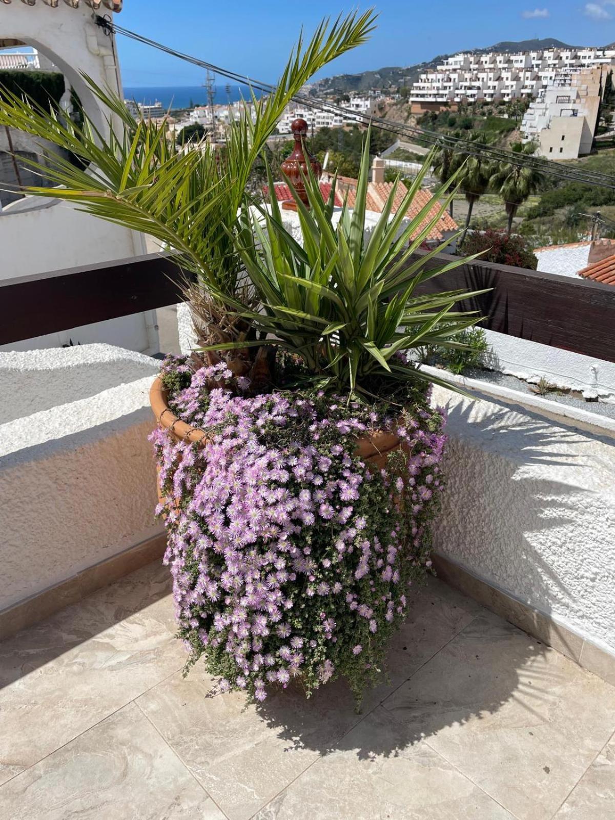 Naricha 1 Menyber Villa Nerja Bagian luar foto